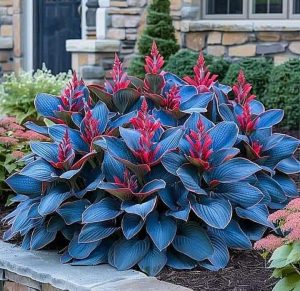 Хоста Грин Фог купить по цене от 669р. в интернет-магазине «Посадика» с доставкой почтой в в Костомукшае и по всей России – [изображение №1].