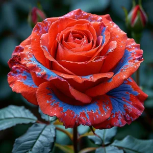 Роза Сикрет Гарден купить по цене от 619р. в интернет-магазине «Посадика» с доставкой почтой в в Костомукшае и по всей России – [изображение №1].