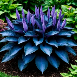 Хоста Сикрет Гров купить по цене от 570р. в интернет-магазине «Посадика» с доставкой почтой в в Костомукшае и по всей России – [изображение №1].