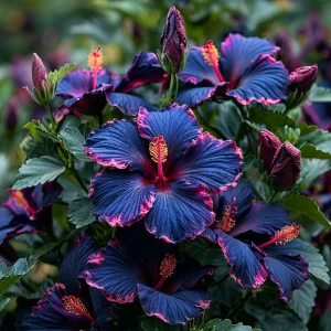 Гибискус Голден Глоу купить по цене от 259р. в интернет-магазине «Посадика» с доставкой почтой в в Костомукшае и по всей России – [изображение №1].