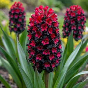 Гиацинт Джем Стоун купить по цене от 2099р. в интернет-магазине «Посадика» с доставкой почтой в в Костомукшае и по всей России – [изображение №1].