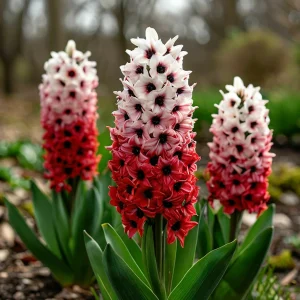 Гиацинт Скай Гарден купить по цене от 2099р. в интернет-магазине «Посадика» с доставкой почтой в в Костомукшае и по всей России – [изображение №1].